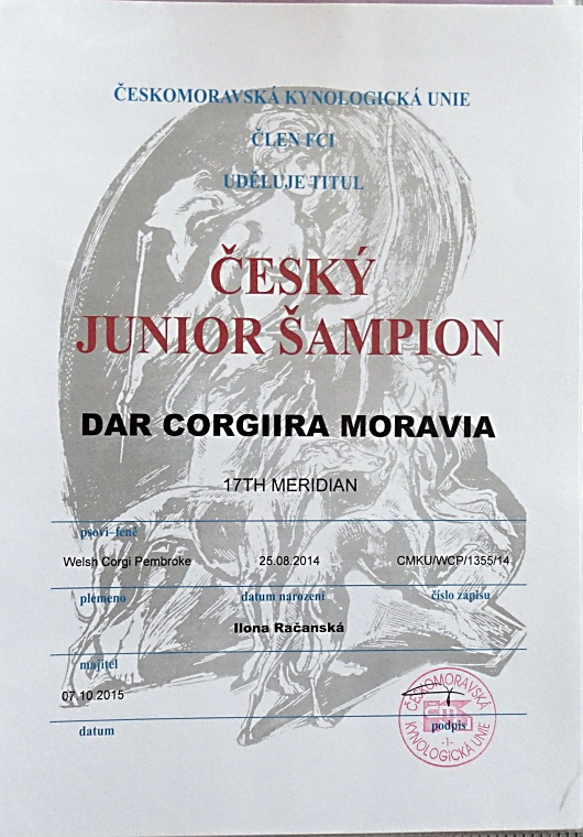 Český junior champion P6100116 ob
